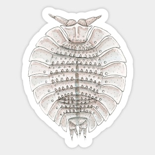 Coatonia phylloniscoides Isopod Sticker